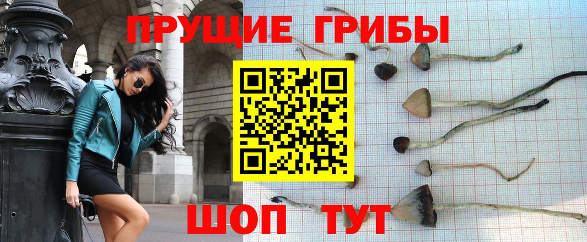 Орск  Галлюциногенные грибы Psilocybine cubensis  Вход с VPN  Псилоцибиновые грибы мухоморы 