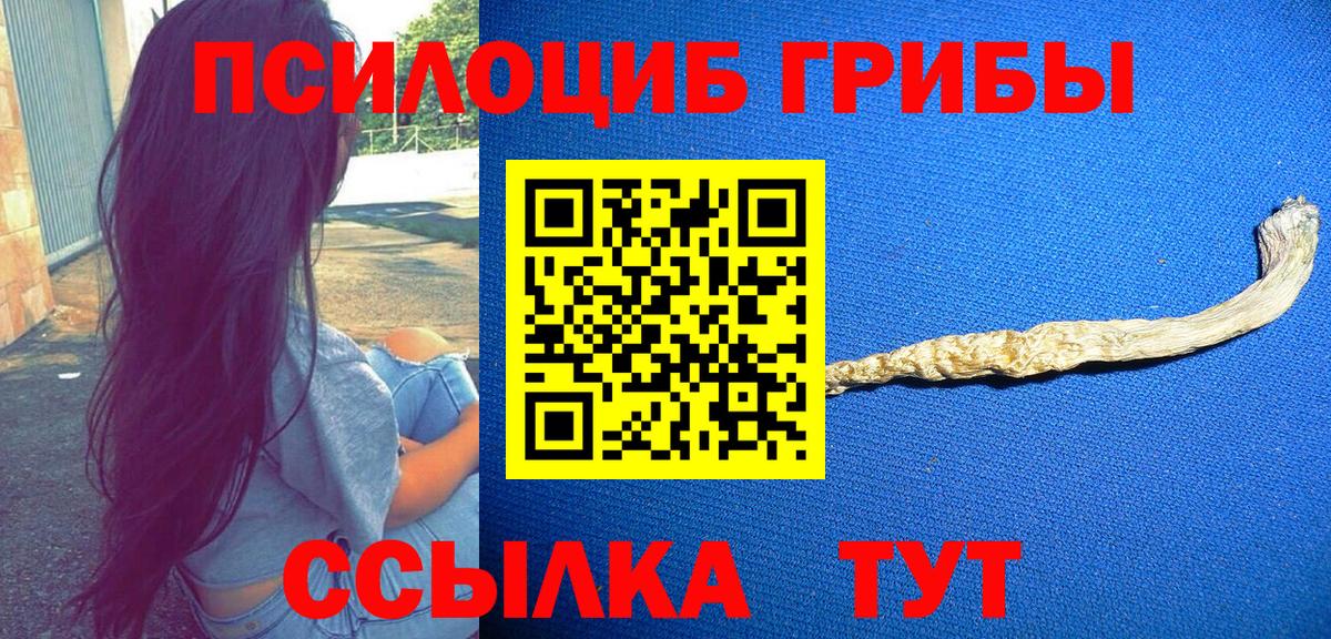 Псилоцибиновые грибы GOLDEN TEACHER Орск